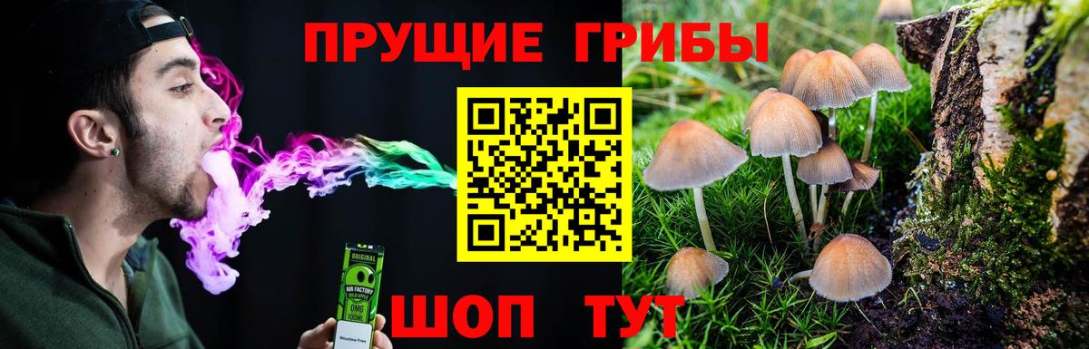 Кузнецк  Псилоцибиновые грибы Psilocybe  Вход с VPN 